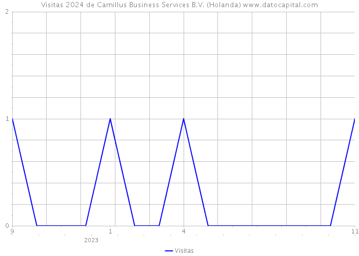 Visitas 2024 de Camillus Business Services B.V. (Holanda) 