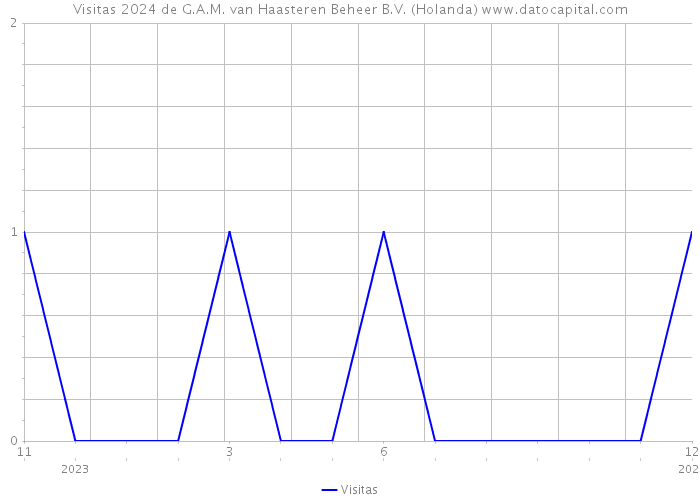 Visitas 2024 de G.A.M. van Haasteren Beheer B.V. (Holanda) 