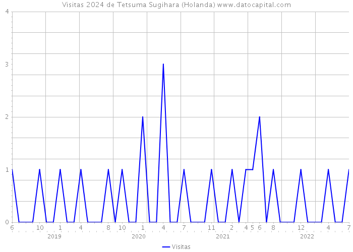 Visitas 2024 de Tetsuma Sugihara (Holanda) 