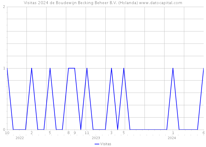 Visitas 2024 de Boudewijn Becking Beheer B.V. (Holanda) 