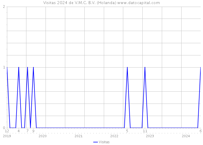 Visitas 2024 de V.M.C. B.V. (Holanda) 