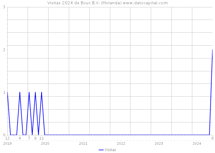 Visitas 2024 de Bouc B.V. (Holanda) 