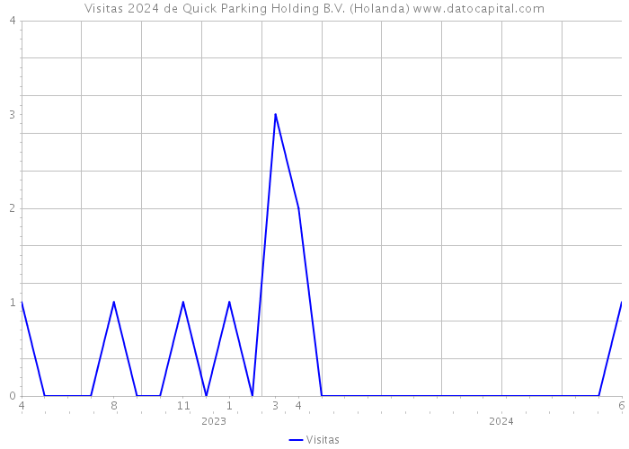 Visitas 2024 de Quick Parking Holding B.V. (Holanda) 