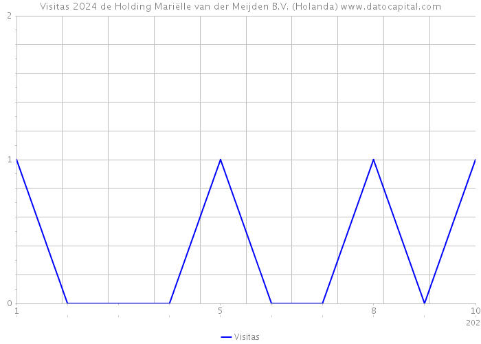 Visitas 2024 de Holding Mariëlle van der Meijden B.V. (Holanda) 