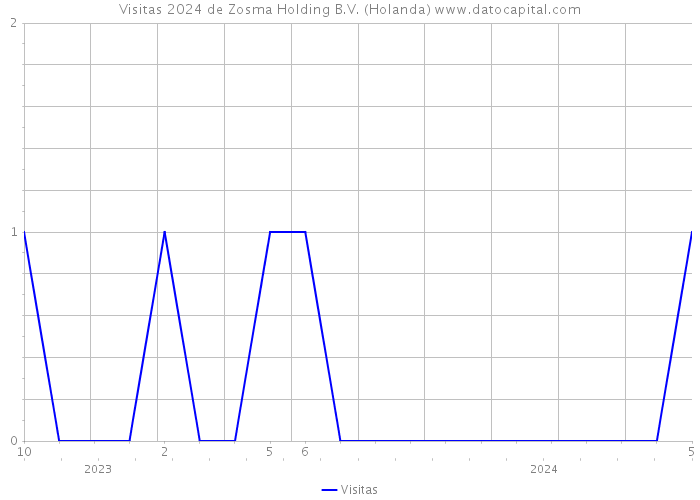 Visitas 2024 de Zosma Holding B.V. (Holanda) 