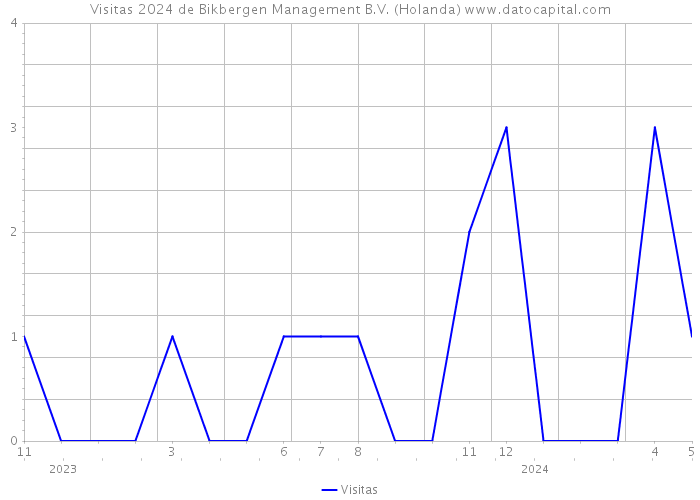 Visitas 2024 de Bikbergen Management B.V. (Holanda) 
