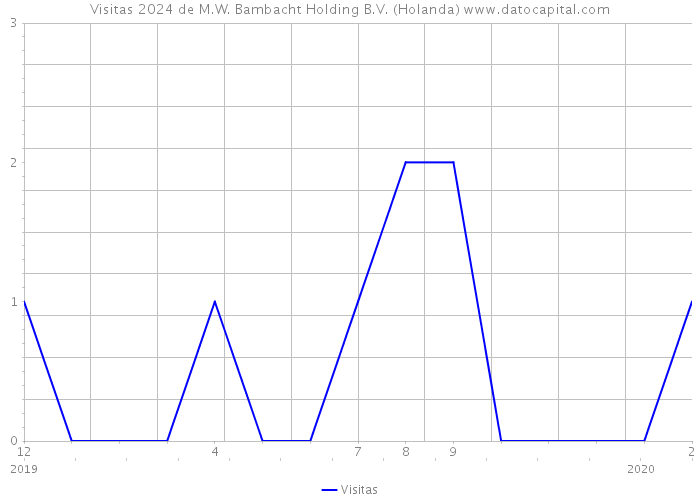 Visitas 2024 de M.W. Bambacht Holding B.V. (Holanda) 