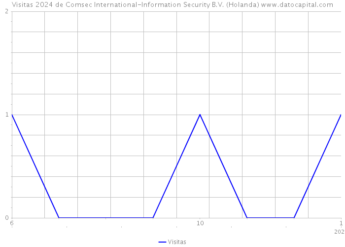 Visitas 2024 de Comsec International-Information Security B.V. (Holanda) 