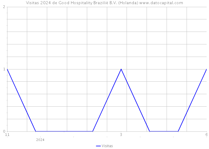 Visitas 2024 de Good Hospitality Brazilië B.V. (Holanda) 