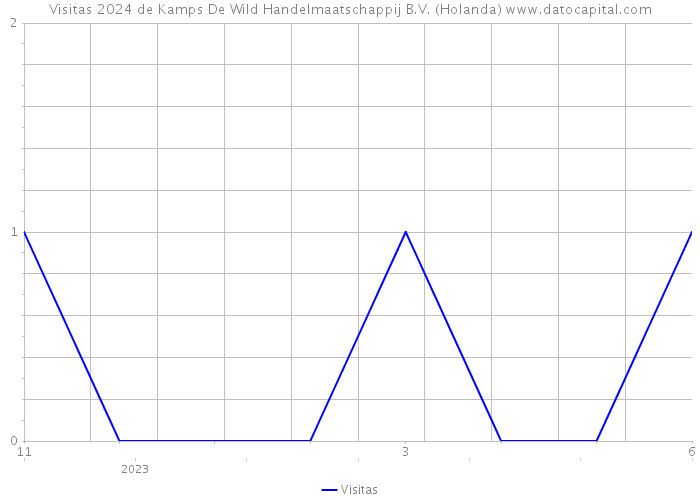 Visitas 2024 de Kamps De Wild Handelmaatschappij B.V. (Holanda) 