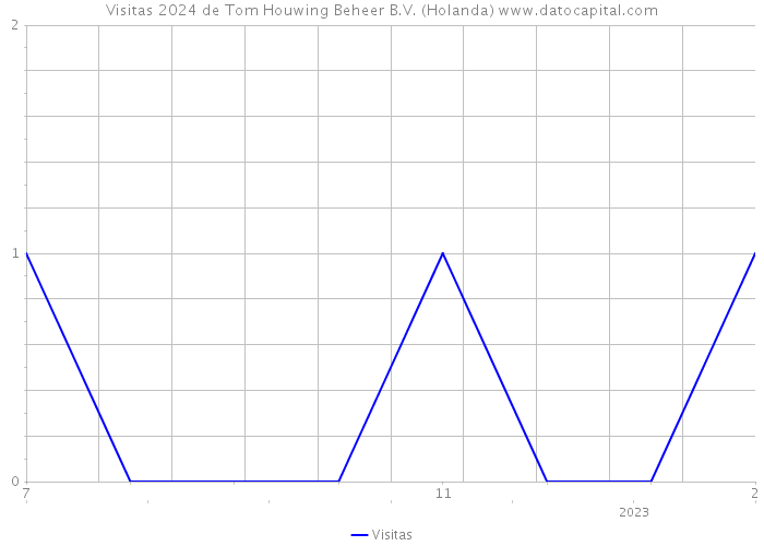 Visitas 2024 de Tom Houwing Beheer B.V. (Holanda) 