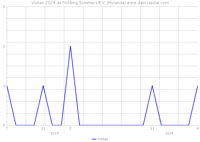 Visitas 2024 de Holding Sommers B.V. (Holanda) 