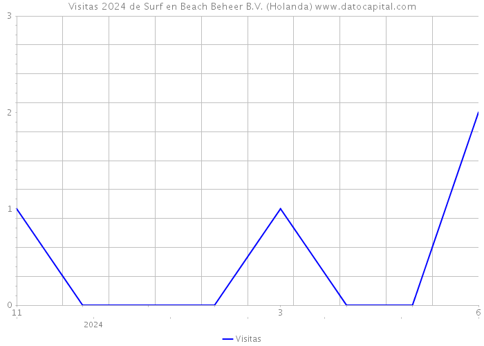 Visitas 2024 de Surf en Beach Beheer B.V. (Holanda) 