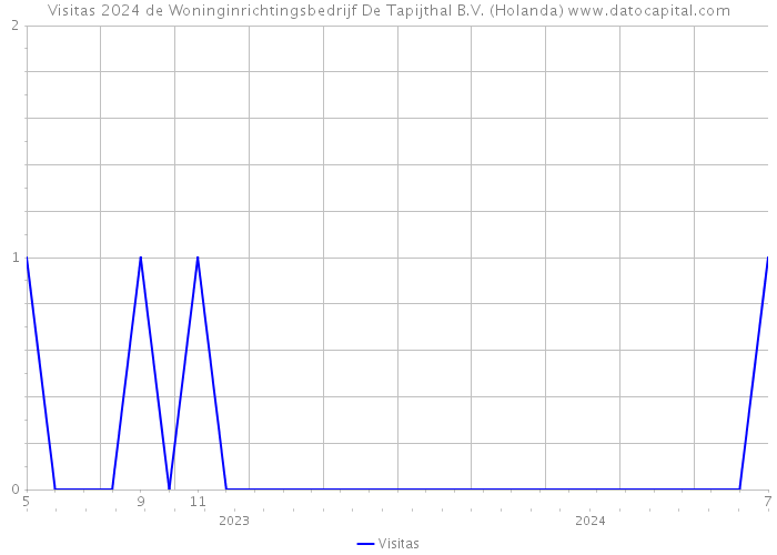 Visitas 2024 de Woninginrichtingsbedrijf De Tapijthal B.V. (Holanda) 