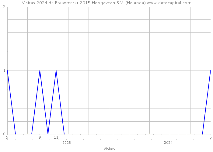 Visitas 2024 de Bouwmarkt 2015 Hoogeveen B.V. (Holanda) 