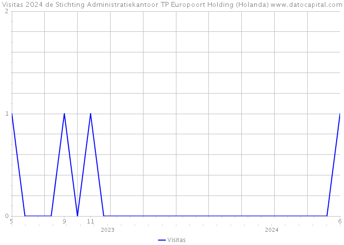 Visitas 2024 de Stichting Administratiekantoor TP Europoort Holding (Holanda) 