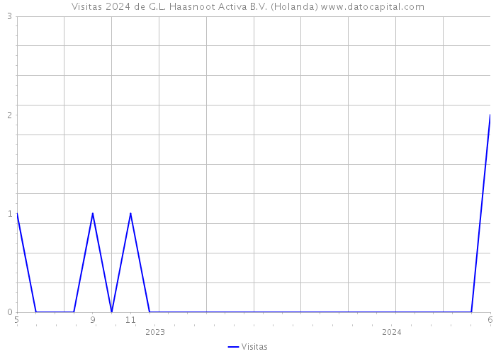 Visitas 2024 de G.L. Haasnoot Activa B.V. (Holanda) 