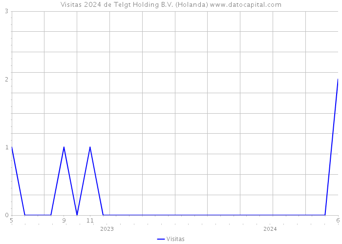 Visitas 2024 de Telgt Holding B.V. (Holanda) 