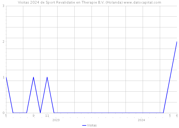 Visitas 2024 de Sport Revalidatie en Therapie B.V. (Holanda) 