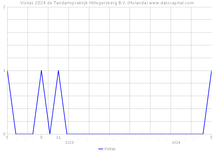 Visitas 2024 de Tandartspraktijk Hillegersberg B.V. (Holanda) 
