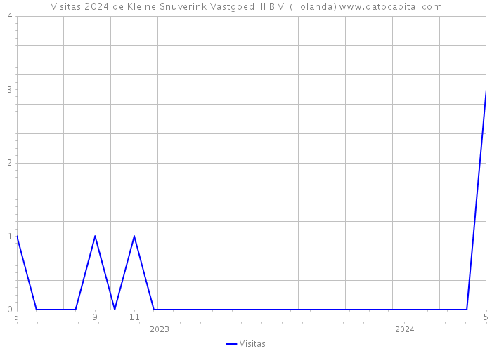 Visitas 2024 de Kleine Snuverink Vastgoed III B.V. (Holanda) 