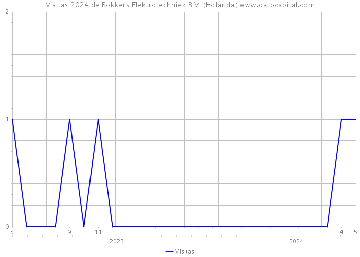 Visitas 2024 de Bokkers Elektrotechniek B.V. (Holanda) 
