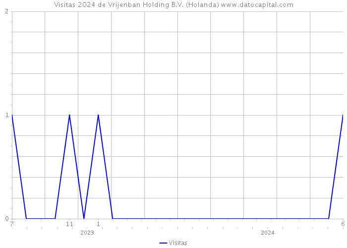 Visitas 2024 de Vrijenban Holding B.V. (Holanda) 