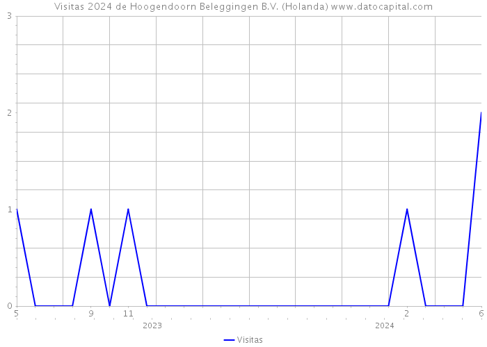 Visitas 2024 de Hoogendoorn Beleggingen B.V. (Holanda) 