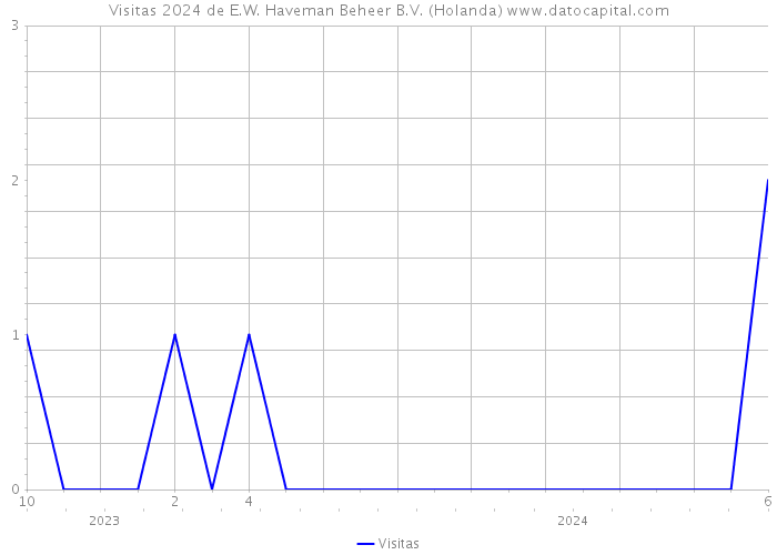 Visitas 2024 de E.W. Haveman Beheer B.V. (Holanda) 