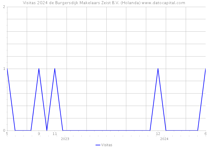 Visitas 2024 de Burgersdijk Makelaars Zeist B.V. (Holanda) 