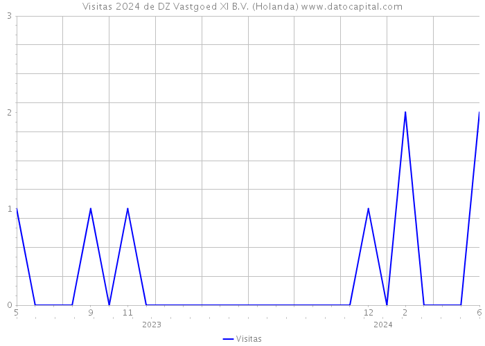 Visitas 2024 de DZ Vastgoed XI B.V. (Holanda) 