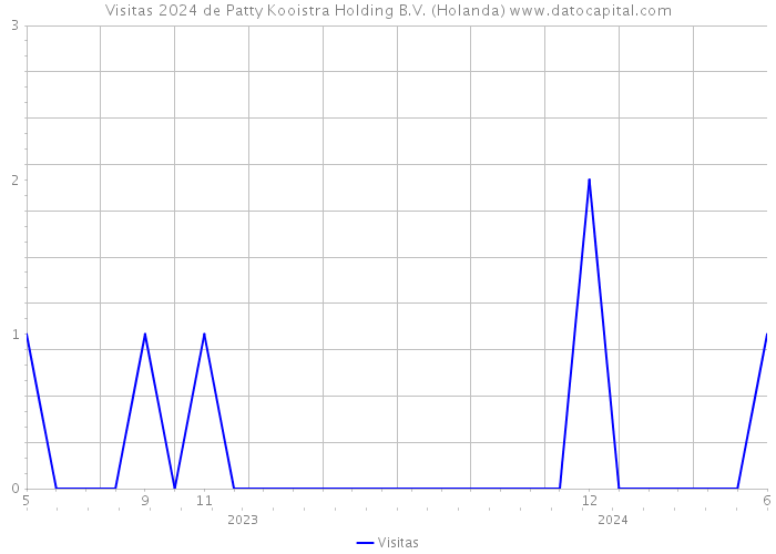 Visitas 2024 de Patty Kooistra Holding B.V. (Holanda) 