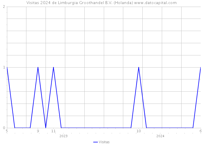 Visitas 2024 de Limburgia Groothandel B.V. (Holanda) 