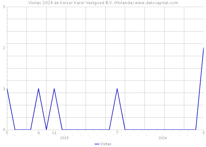 Visitas 2024 de Keizer Karel Vastgoed B.V. (Holanda) 