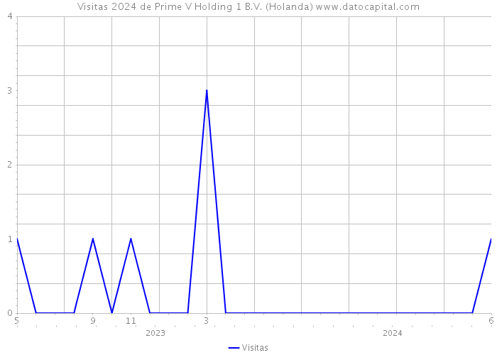 Visitas 2024 de Prime V Holding 1 B.V. (Holanda) 