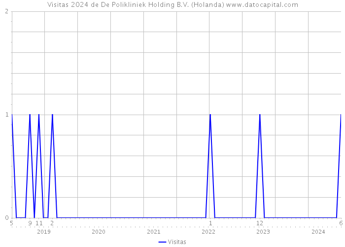 Visitas 2024 de De Polikliniek Holding B.V. (Holanda) 