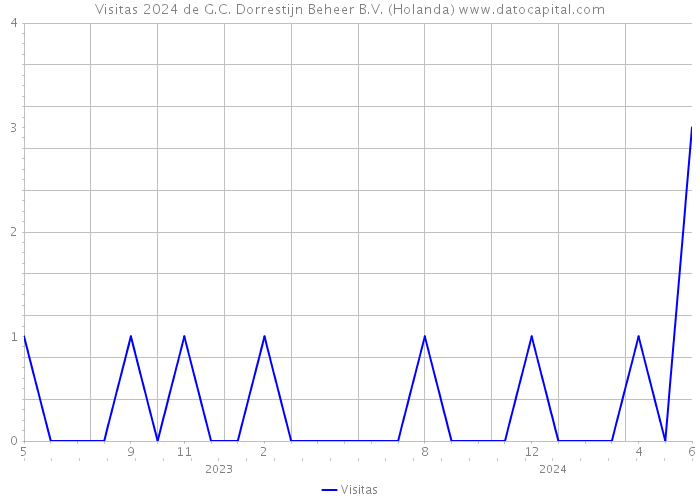 Visitas 2024 de G.C. Dorrestijn Beheer B.V. (Holanda) 