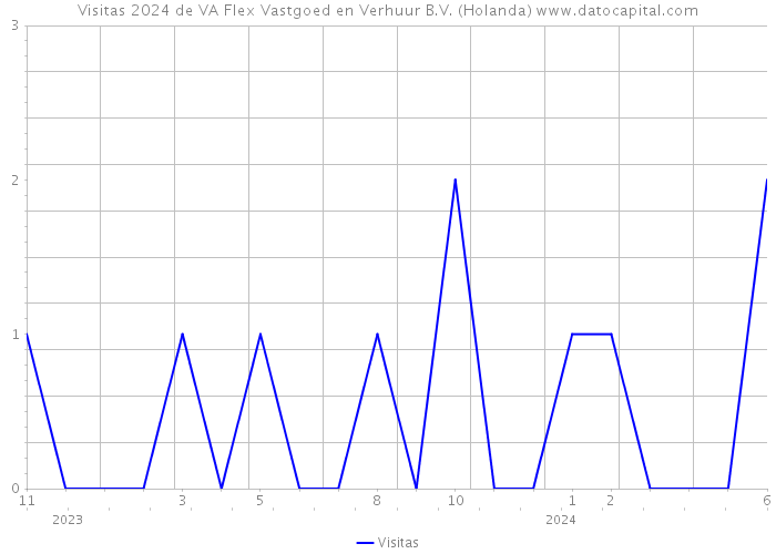 Visitas 2024 de VA Flex Vastgoed en Verhuur B.V. (Holanda) 