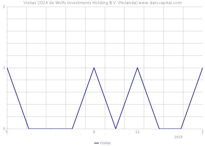 Visitas 2024 de Wolfs Investments Holding B.V. (Holanda) 