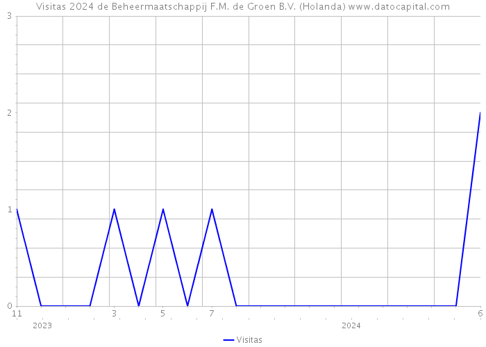 Visitas 2024 de Beheermaatschappij F.M. de Groen B.V. (Holanda) 