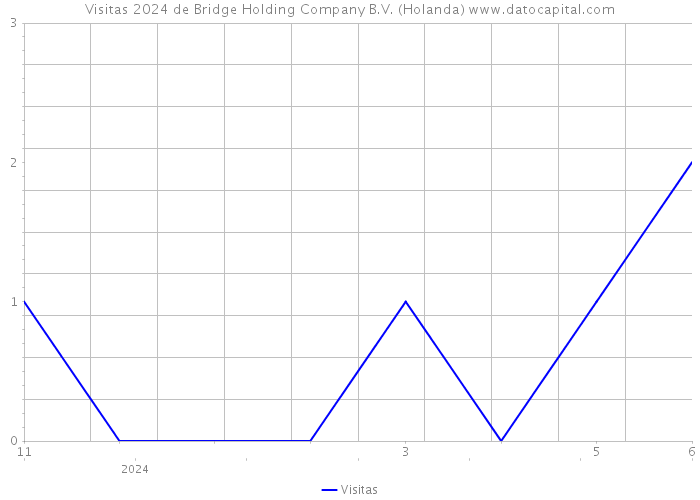 Visitas 2024 de Bridge Holding Company B.V. (Holanda) 