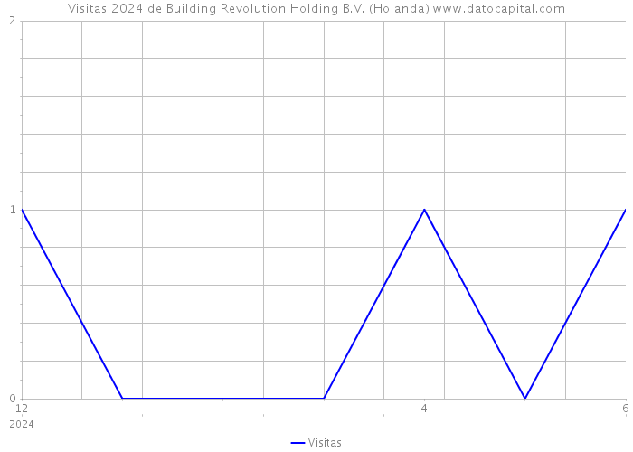 Visitas 2024 de Building Revolution Holding B.V. (Holanda) 
