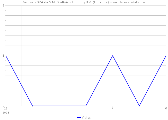 Visitas 2024 de S.M. Stultiëns Holding B.V. (Holanda) 