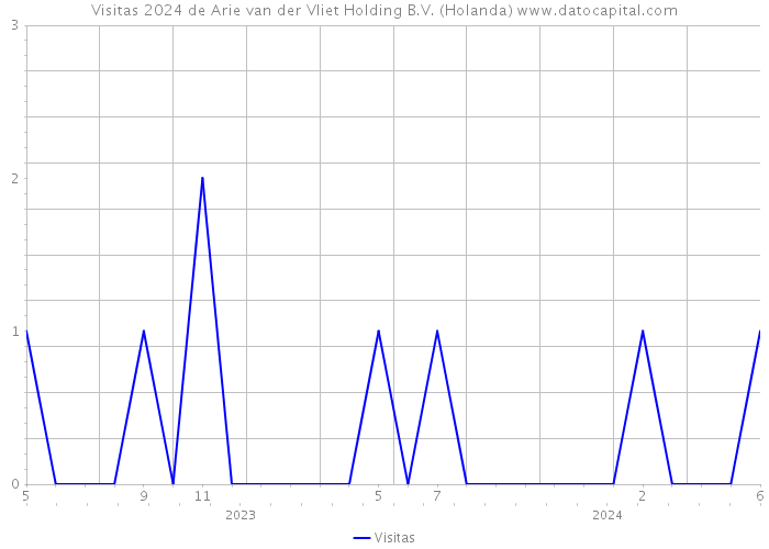 Visitas 2024 de Arie van der Vliet Holding B.V. (Holanda) 