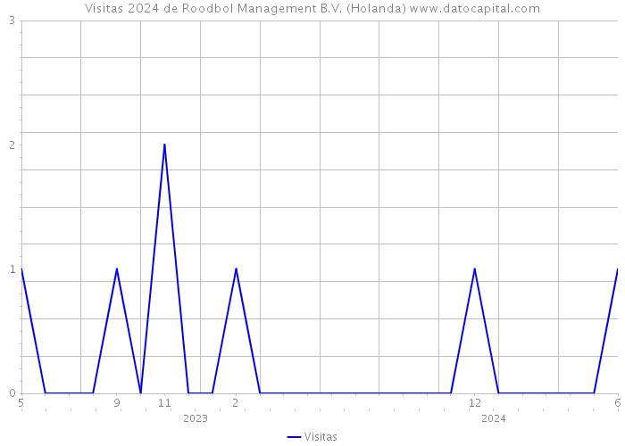 Visitas 2024 de Roodbol Management B.V. (Holanda) 