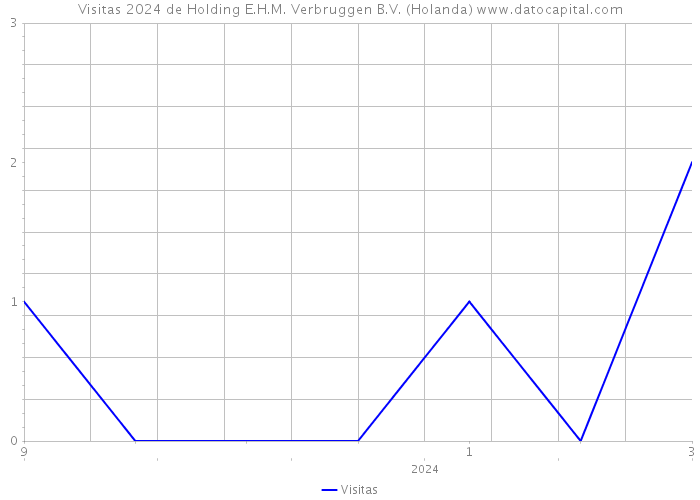 Visitas 2024 de Holding E.H.M. Verbruggen B.V. (Holanda) 