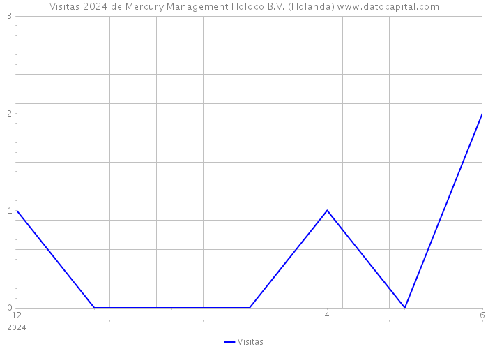 Visitas 2024 de Mercury Management Holdco B.V. (Holanda) 