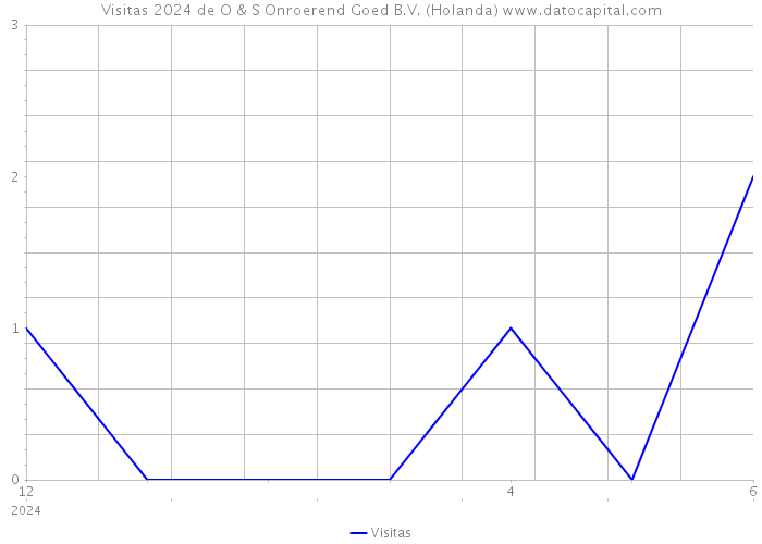 Visitas 2024 de O & S Onroerend Goed B.V. (Holanda) 