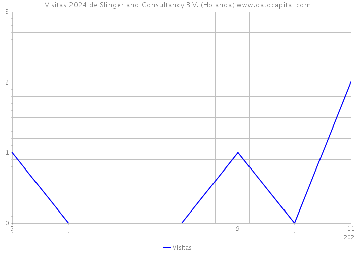 Visitas 2024 de Slingerland Consultancy B.V. (Holanda) 