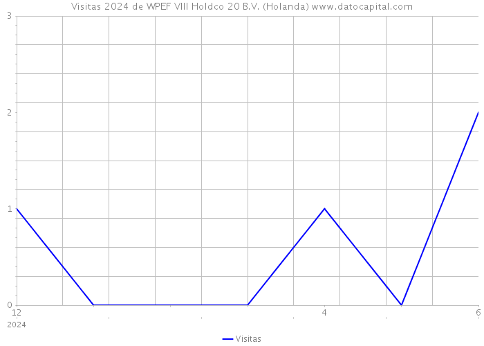 Visitas 2024 de WPEF VIII Holdco 20 B.V. (Holanda) 